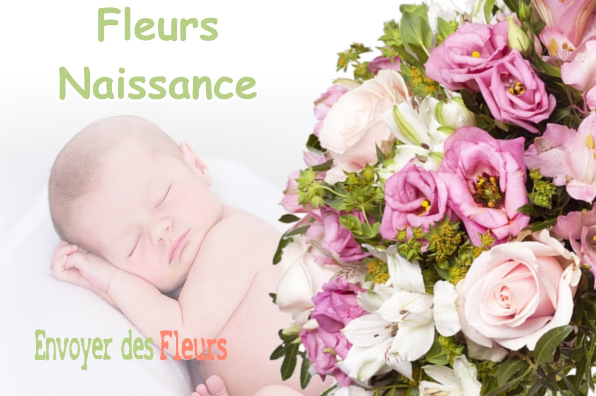 lIVRAISON FLEURS NAISSANCE à LACROIX-FALGARDE